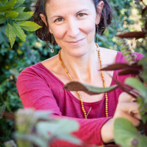 portrait portrait